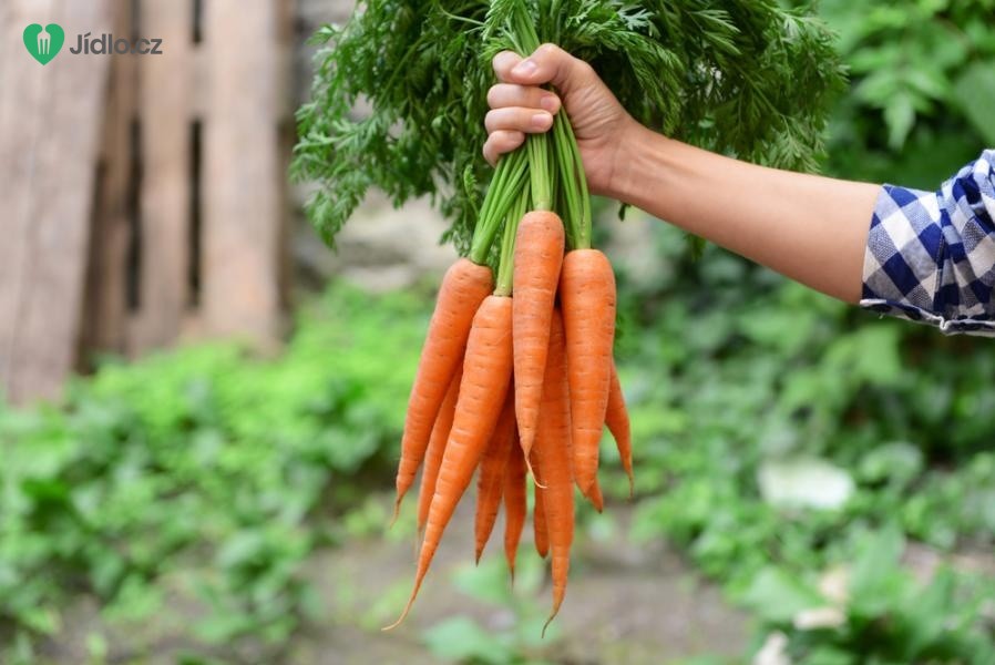 5 důvodů, proč jíst „nejen“ na jaře mrkev