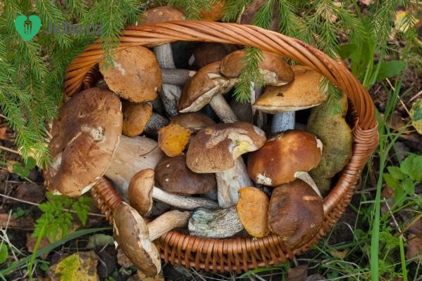 Pravdy a mýty o houbách: smí se houby znovu ohřívat? 