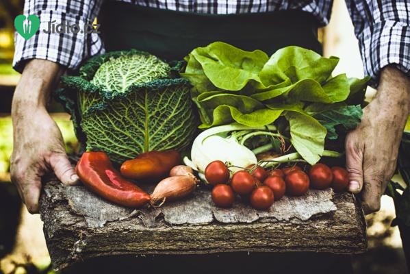 Top 5 sezónní zeleninové recepty pro září 2020…