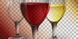 Slovník sommeliera: mluvte jako profesionální znalec vína