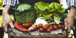 Top 5 sezónní zeleninové recepty pro září 2020…